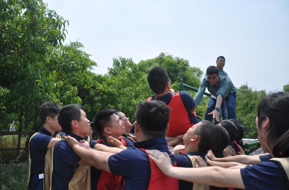 1601188016118997.jpg 1601188016118997.jpg