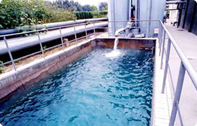 国产a∨国片精品白丝美女视频