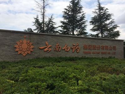 国产a∨国片精品白丝美女视频